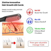 Zistrine LED Hair Growth Comb